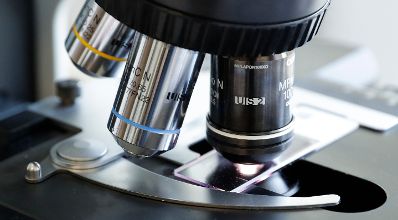 Labor - Proben werden unter dem Mikroskop untersucht. Schlagw&ouml;rter: Medizin, Mikroskop, Untersuchung, Gesundheit, Arzt, Rat f&uuml;r Besch&auml;ftigung, Sozialpolitik, Gesundheit und Verbraucherschutz, EPSCO