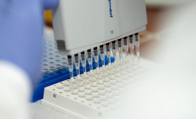 Arbeitsmaterial in der Internationalen Atomenergie-Organisation. Schlagw&ouml;rter: IAEO, IAEA, International Atomic Energy Agency, Radioaktivit&auml;t, radioaktiv, Versuch, Wissenschaft, Vereinte Nationen, Sicherheit, Kernenergie, Rat f&uuml;r Umwelt, ENVI, Rat f&uuml;r Wettbewerbsf&auml;higkeit, COMPET