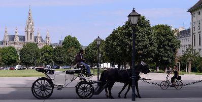 Ein Fiaker am Heldenplatz. Im Hintergrund das Rathaus. Schlagworte: Fahrrad, Fahrzeug, Fiaker, Kutsche, Person, Pferde, Platz, Stadtlandschaften, Tiere, Verkehr