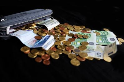 Verschiedene Eurogeldscheine und -m&uuml;nzen. Schlagworte: Euro, Geld, Geldb&ouml;rse, M&uuml;nzen, Scheine, Wirtschaft