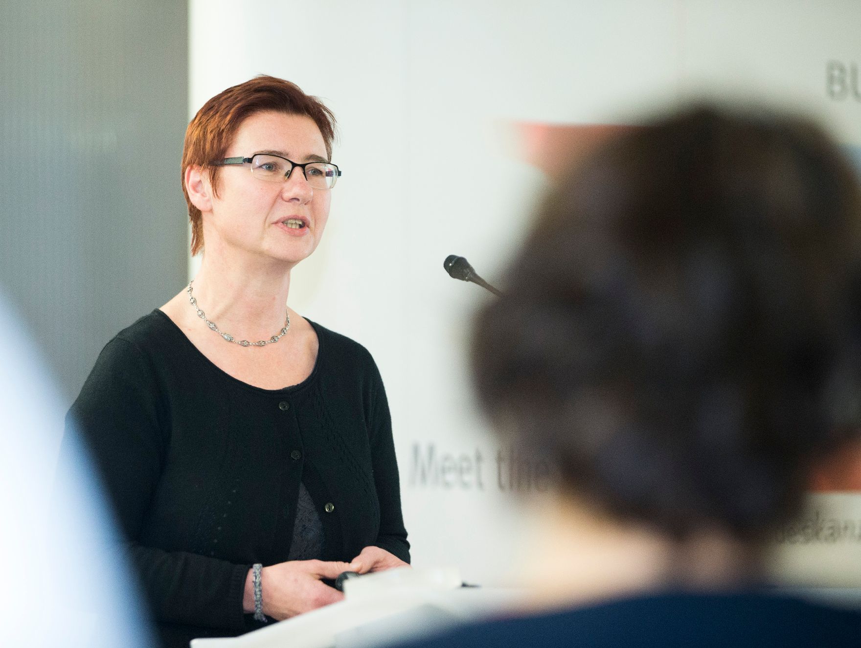 Am 13. November 2017 fand die Veranstaltung "Gender Pay Gap: Fakten, Handlungen, Ergebnisse" statt. Im Bild Margit Schratzenstaller-Altzinger, Stellvertretende Leiterin des Österreichischen Institut für Wirtschaftsforschung Wien.