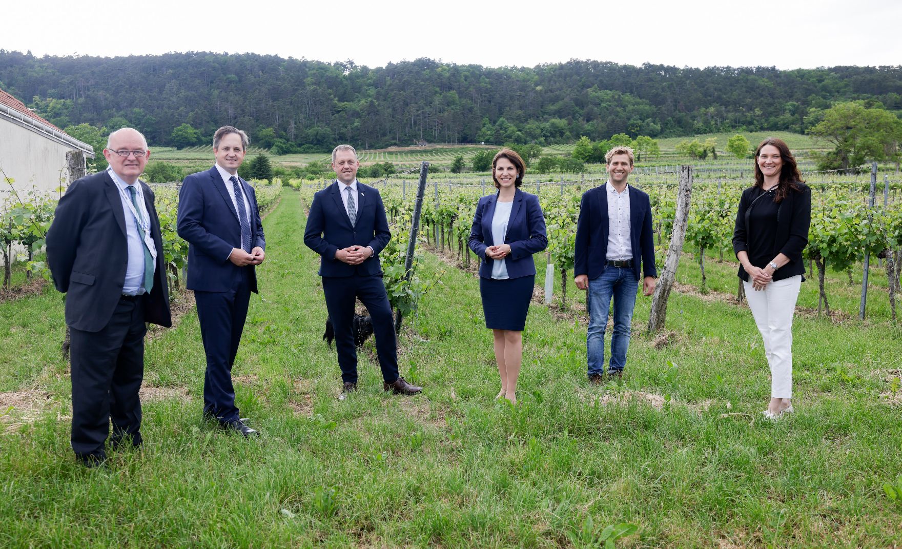 Am 11. Juni 2021 besuchte Bundesministerin Karoline Edtstadler im Rahmen ihres Bundesländertags in Niederösterreich das Weingut Huber im Traisental.