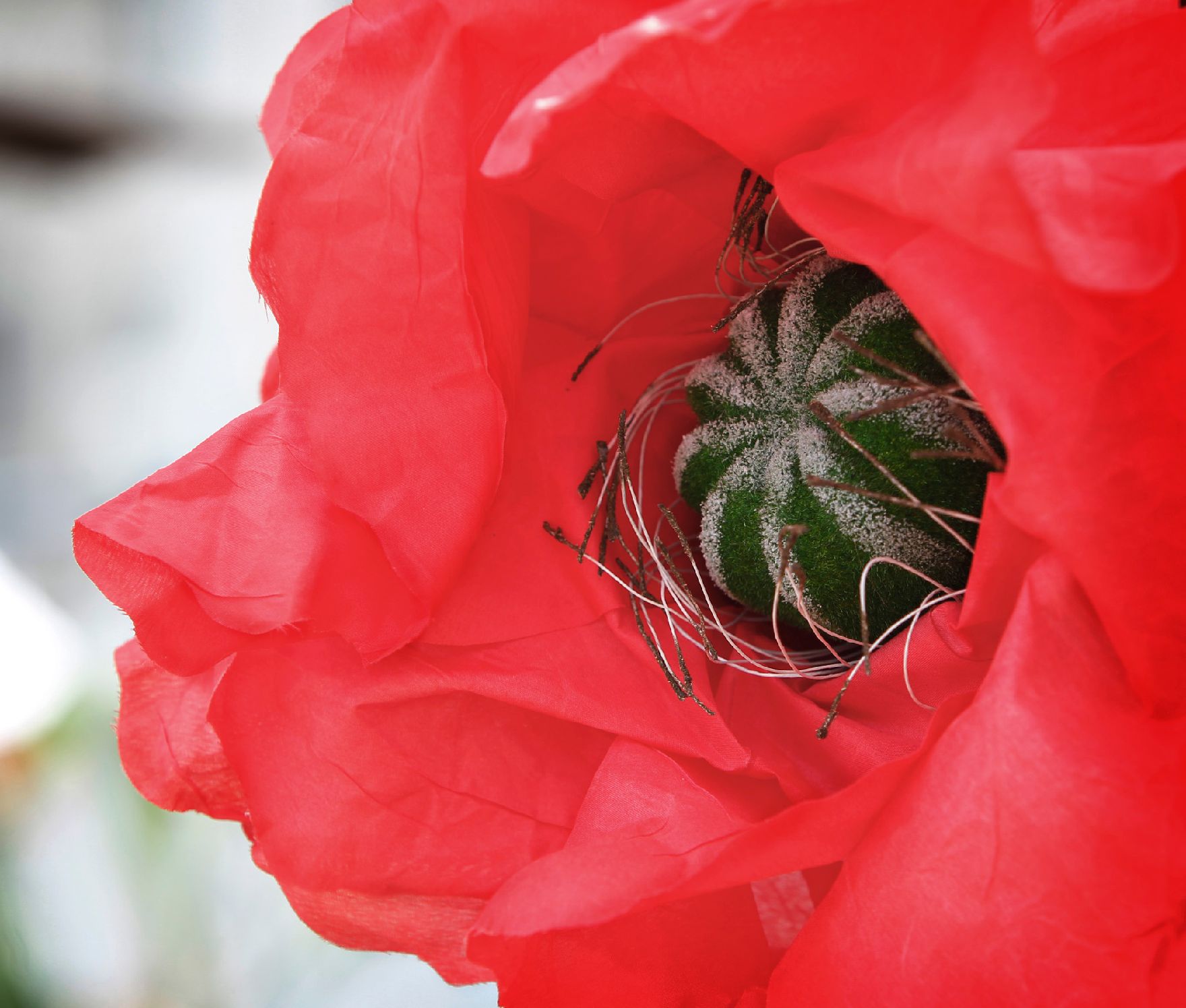 Eine rote Mohnblume aus Stoff. Schlagworte: Blume, Blüte, Dekoration, Kunst, Natur, Pflanze