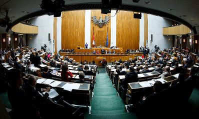 Am 25. September 2013 beantwortete Bundeskanzler Werner Faymann bei der Nationalratssitzung im Parlament eine Dringliche Anfrage zum Thema Direkte Demokratie.