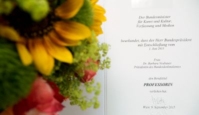 Am 9. September 2015 überreichte Kunst- und Kulturminister Josef Ostermayer die Urkunde mit der Barbara Neubauer der Berufstitel Professorin verliehen wurde.