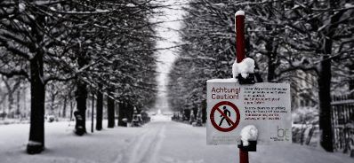 Eine winterliche Aufnahme eines Hinweisschildes im Volksgarten. Schlagworte: Bäume, Hinweisschild, Schnee, Stadtlandschaft, Winter