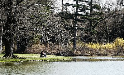 Eine frühlingshafte Aufnahme des Parks von Laxenburg. Schlagworte: Bäume, Frühling, Natur, Park, Parkbank, Pflanzen, Wasser