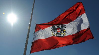 Die österreichische Fahne weht im Wind. Schlagworte: Fahne, Flagge, Gegenlicht, Himmel, Mast, Sonne