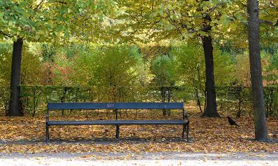 Eine Parkbank im herbstlichen Park des Schloss Schönbrunn. Schlagworte: Bank, Herbst, Natur, Park, Schönbrunn, Stadtlandschaft