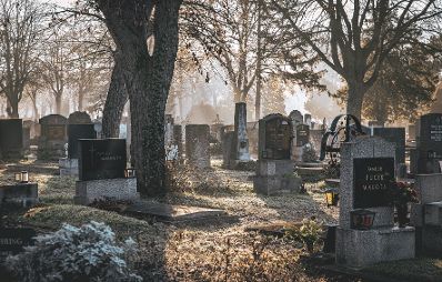 Wiener Zentralfriedhof: Morgenstimmung, Friedhof, Friedhofsruhe, Nebel, Wien, Winter, Sonnenaufgang