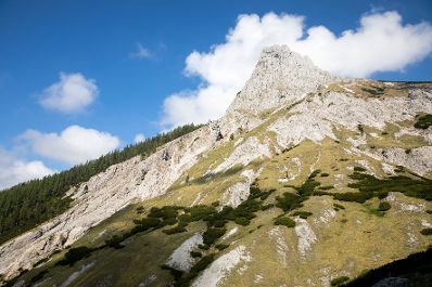 Eine Berglandschaft in der Steiermark. Schlagwörter: Berge, Natur, Wald, Wälder, Wiese, Stein, Gestein, Holz, Geröll, Schnee, Gipfel, Rat für Umwelt, ENVI
