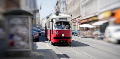 Eine Straßenbahn Linie 49 der Winer Linien. Schlagworte: Fahrzeug, Schiene, Stadtlandschaften, Straße, Straßenbahn, Verkehr, Wiener Linien